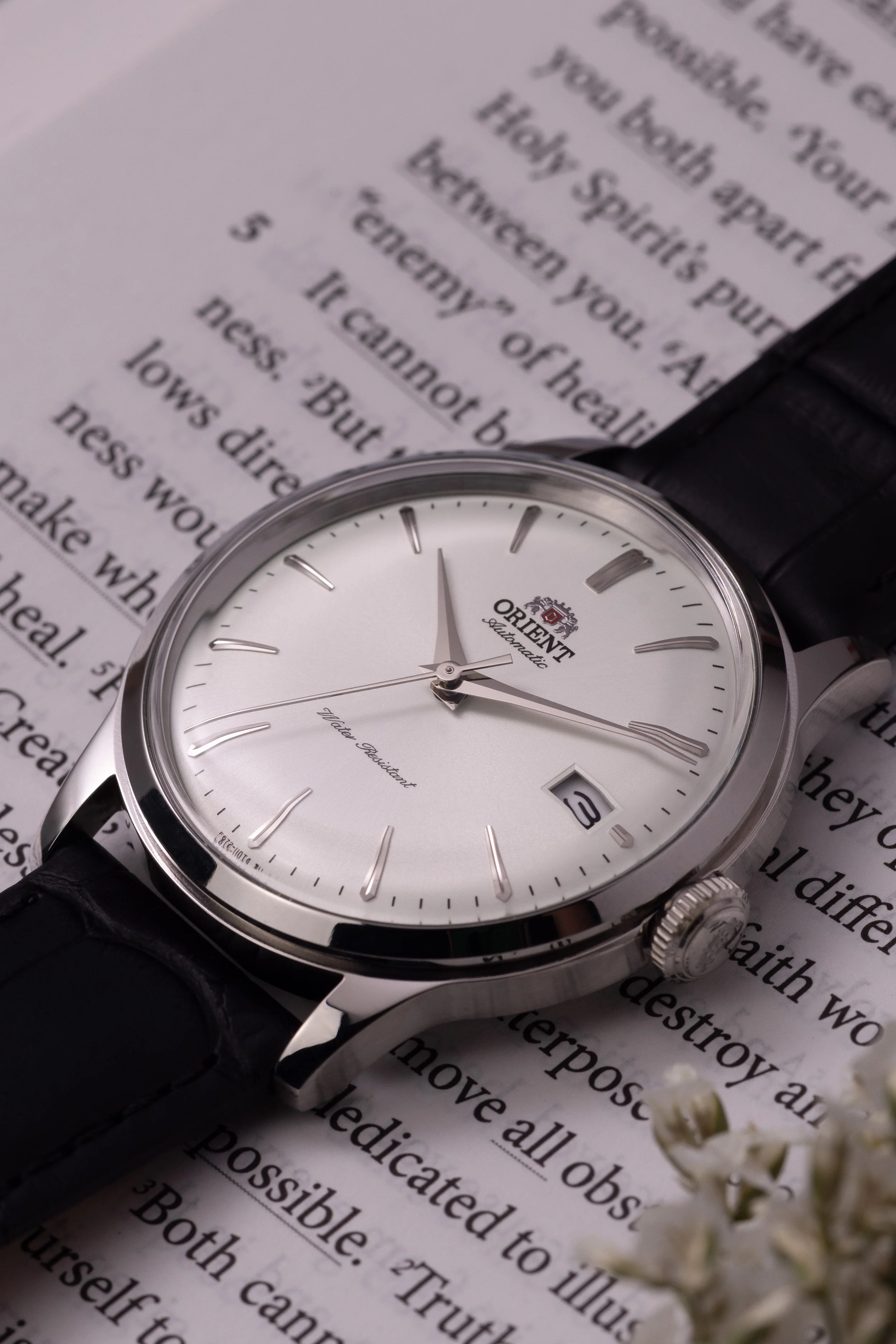 Orient Bambino Version 7 (38.4mm) - Image 3