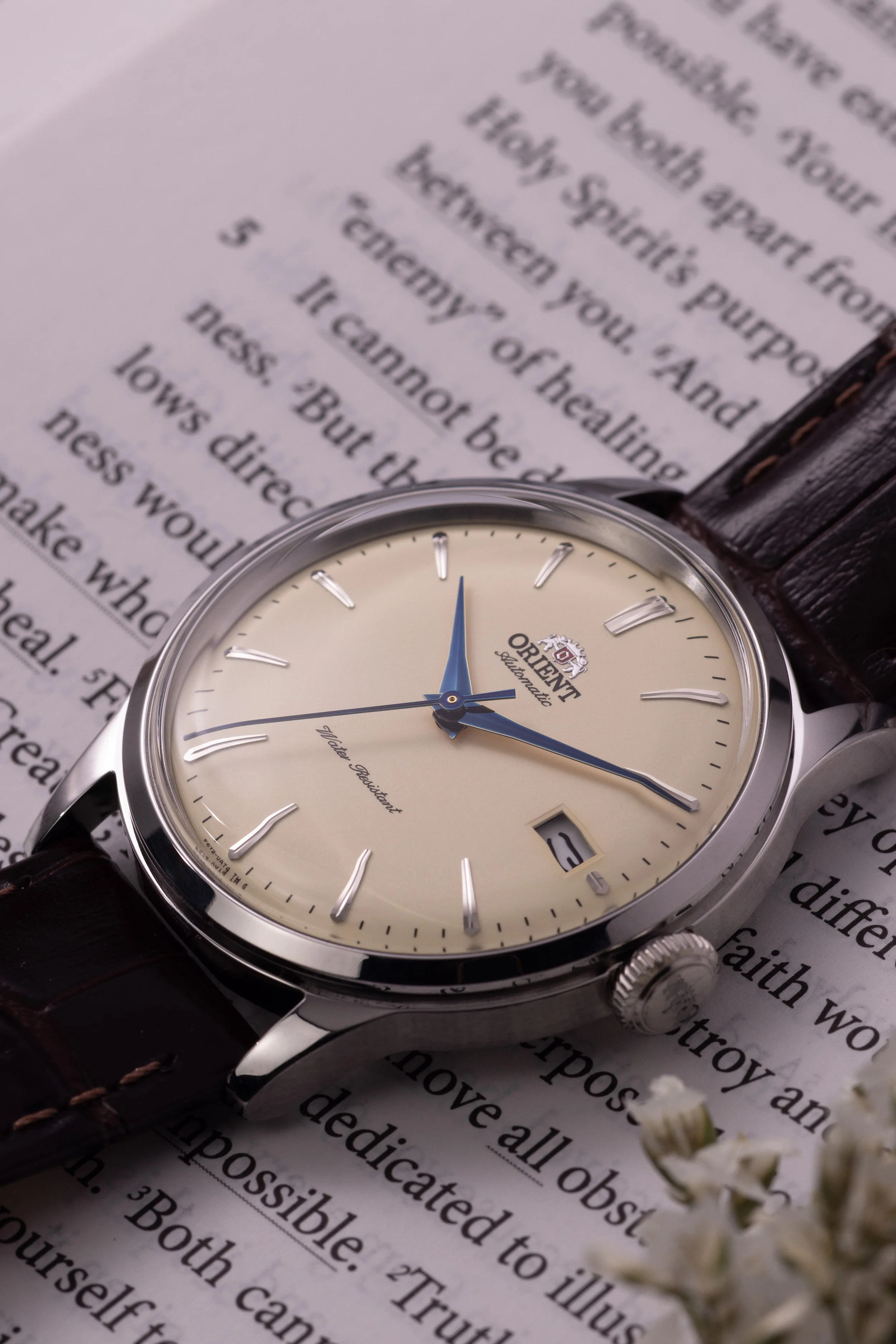 Orient Bambino Version 7 (38.4mm) - Image 3